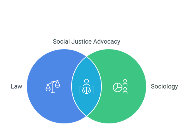 The Importance of Law Sociology in Modern Society