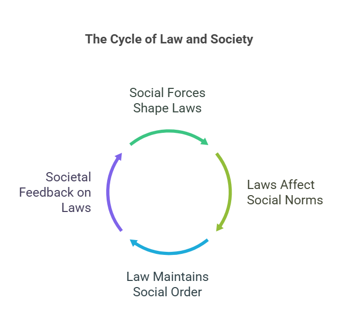 What is Law Sociology